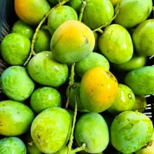 ২০ কেজি হিমসাগর আম