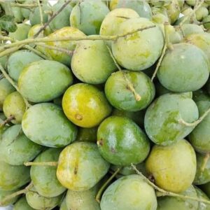 ১৫ কেজি হিমসাগর আম